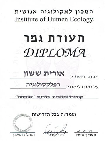 תעודה 2